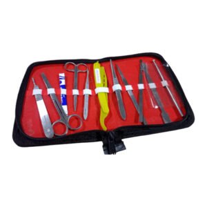 Dissecting Box for Biology Lab New Version