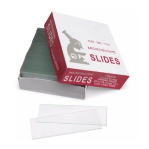 Slide Plain Glass 76 mm 72 Pcs