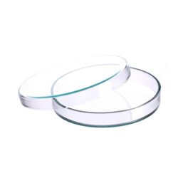 Glass Petri Dishes 90mm by Labtex Bangladesh