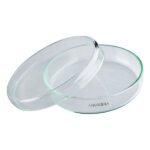Glass Petri Dish 120 mm for Lab Use