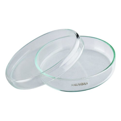 Glass Petri Dish 120 mm for Lab Use