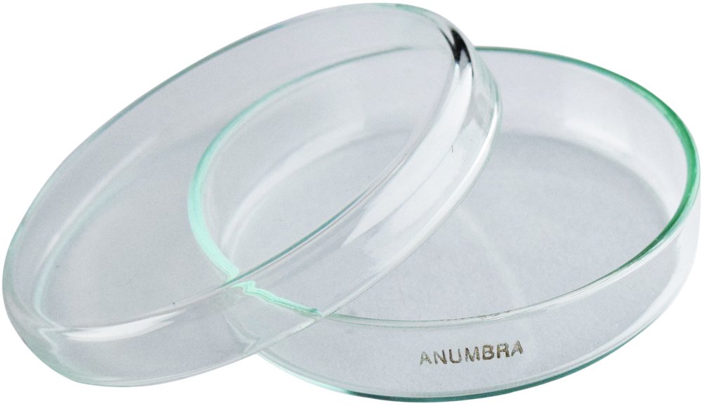 Glass Petri Dish 120 mm for Lab Use