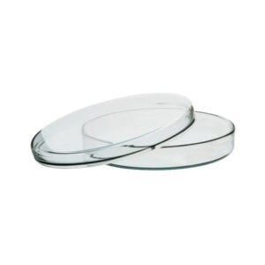 Glass Petri Dish 60 mm for Lab Use best quality