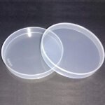 Polylab Petri Dish 150 mm for Lab Use