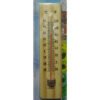 Room Thermometer (In-Outdoor Thermometer)