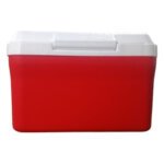 10 Liter Insulated Chiller Ice Box - Vaccine Box - Image 3