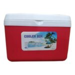 4 Liter Insulated Ice Box - Vaccine Box