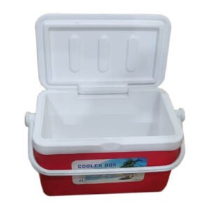4 Liter Insulated Ice Box - Vaccine Box