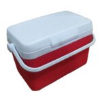 4 Liter Insulated Ice Box - Vaccine Box