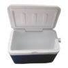 5 Liter Insulated Chiller Ice Box Vaccine Box in BD