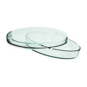 Glass Petri Dish 120 mm for Lab Use