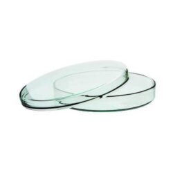 Glass Petri Dish 60 mm for Lab Use