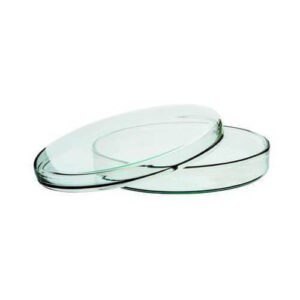 Glass Petri Dish 60 mm for Lab Use
