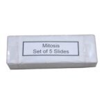 Mitosis Permanent Slide 1 Set