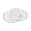 Plastic Petri Dish 90 mm in Bangladesh