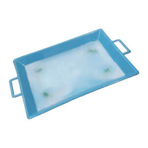 Plastic Tray with Wax for Biology Lab
