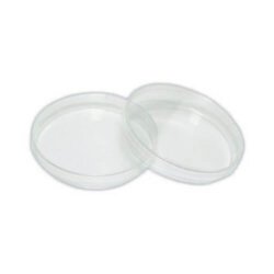 Polylab Plastic Petri Dish 75 mm for Lab Use