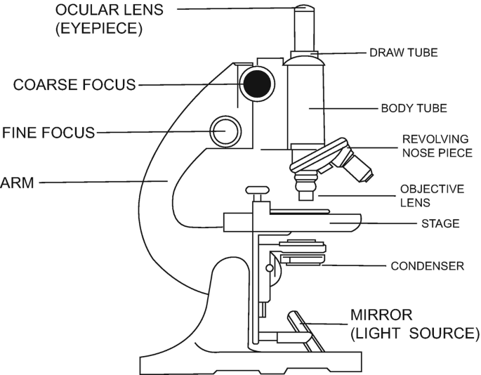 Microscope and its Uses in Biology Lab | Labtex Bangladesh