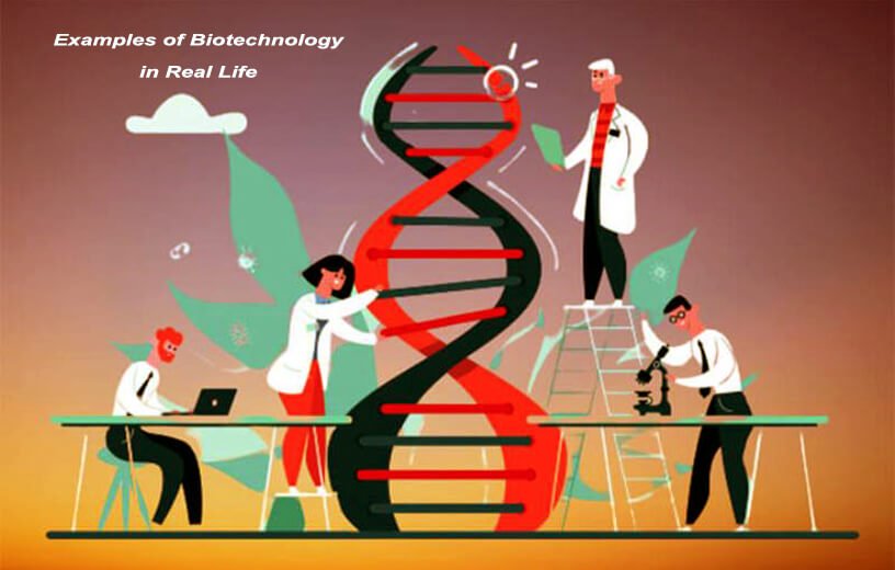 Examples of Biotechnology in Real Life by Labtex