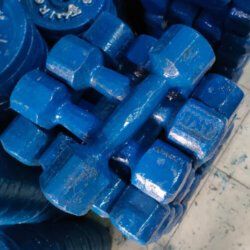 2Kg 2 Pcs Blue Dumbbell