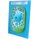 Model of Plant Cell on Board