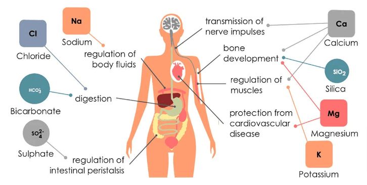 the Risks for Uses of Distilled Water