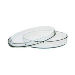 Glass Petri Dish 80 mm for Lab Use best quality