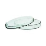 Glass Petri Dish 80 mm for Lab Use