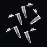 PCR Tube 0.2ml 1000 Pcs with Flat Cap
