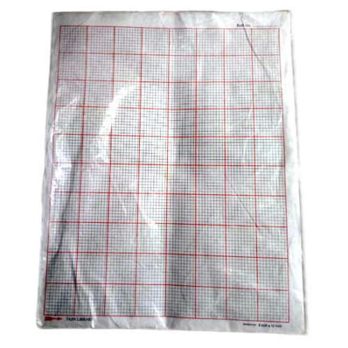 Graph Paper 8 inch x 10 inch