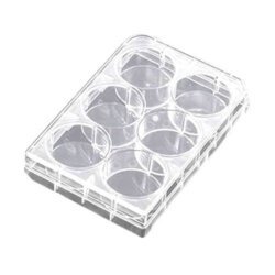 Cell Culture Plate 6 Well Plastic Plate
