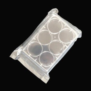 Cell Culture Plate 6 Well Plastic Plate | Labtex BD