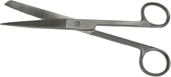 Surgical Scissors 6 Inch Stainless Steel Scissor
