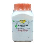 Albumin Egg Powder 250g Research Lab