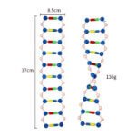 DNA Double Helix Structure Model (Junior) Size Setup
