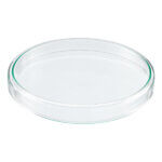 Glass Petri Dish 150mm for Lab Use - Image 2