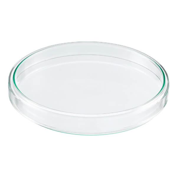 Glass Petri Dish 150mm for Lab Use Close Image Glass Petri Dish 150mm for Lab Use - Image 2